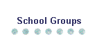 School Groups