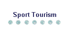 Sport Tourism